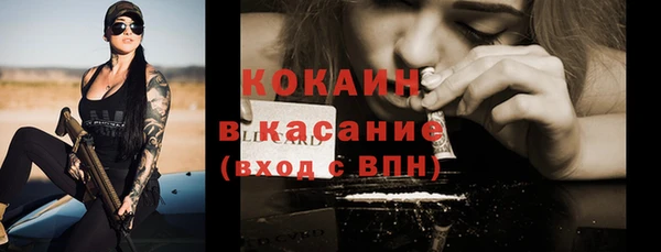 амф Дмитров